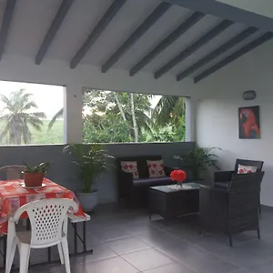 Bananier Hébergement de vacances
